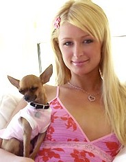 PARIS HILTON www.yourmoviestars.com